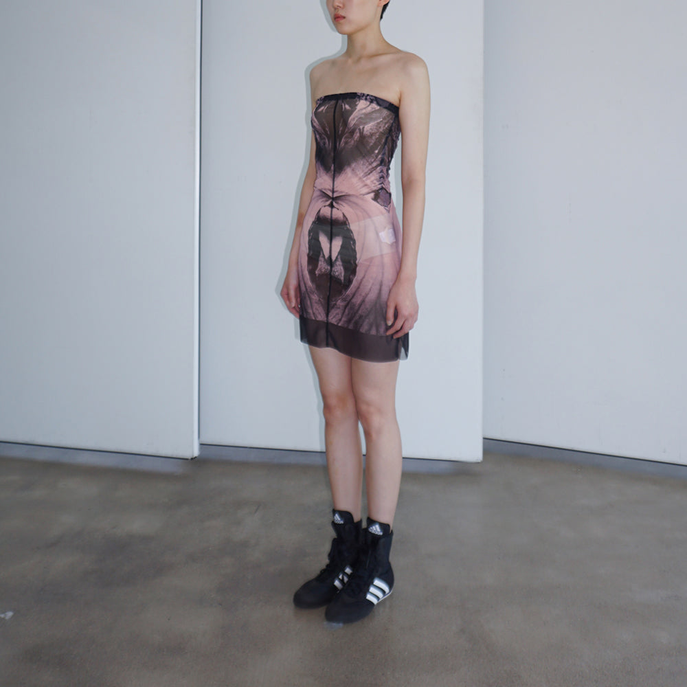 Sheer Mesh Dress