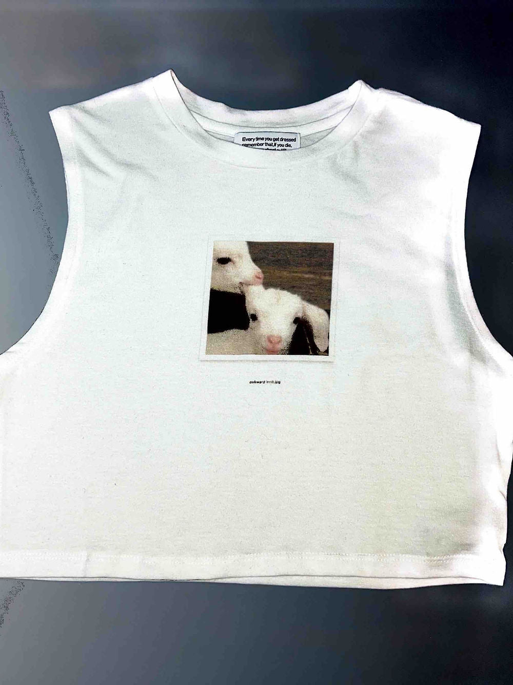 Lamb Top